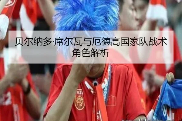 贝尔纳多·席尔瓦与厄德高国家队战术角色解析