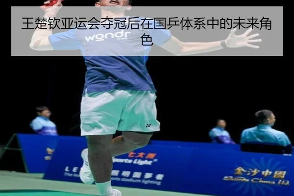 王楚钦亚运会夺冠后在国乒体系中的未来角色